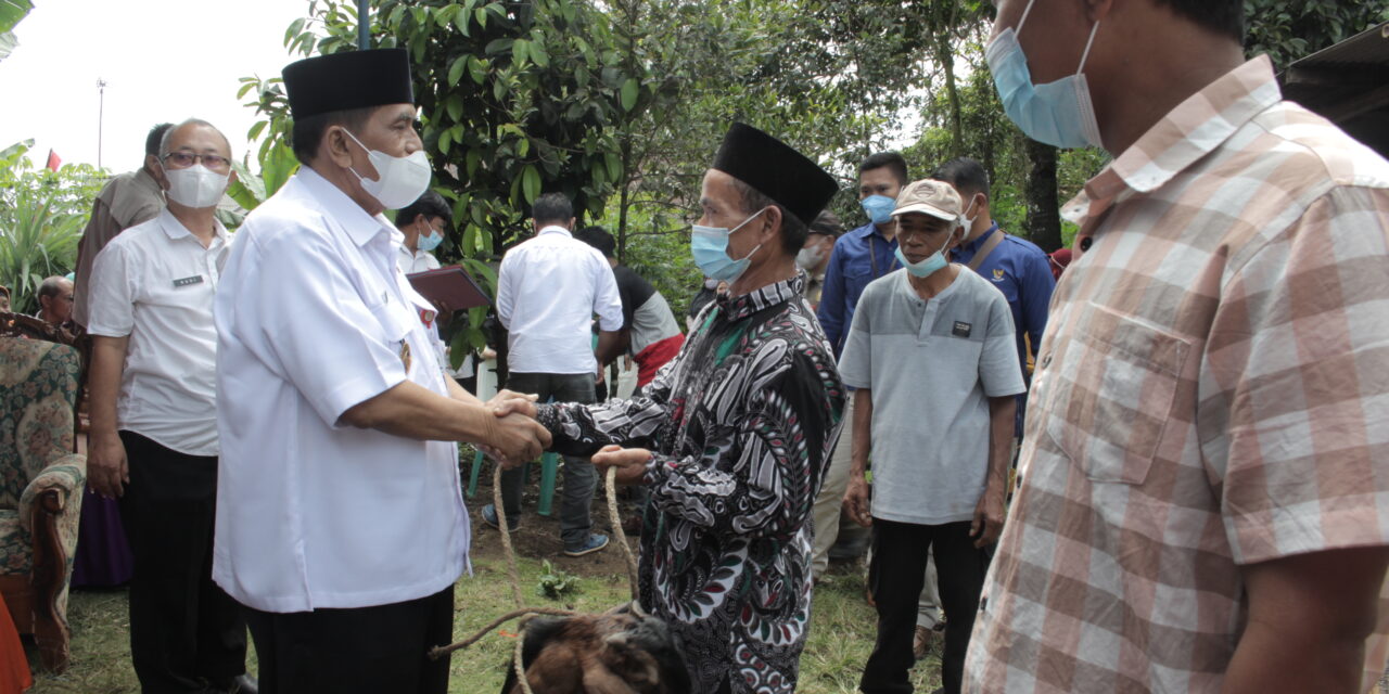 Wakil Bupati Serahkan 14 Kambing Bantuan BPR BKK Purbalingga