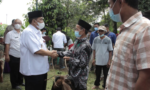 Wakil Bupati Serahkan 14 Kambing Bantuan BPR BKK Purbalingga