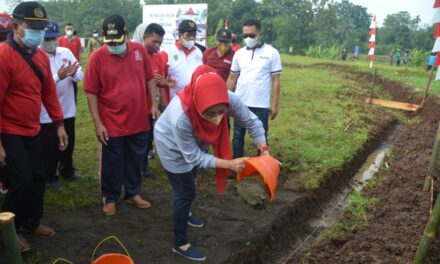 BUMDes Sokawera Segera Bangun Rumah Makan Kuliner Unggulan Ayam Ungkep