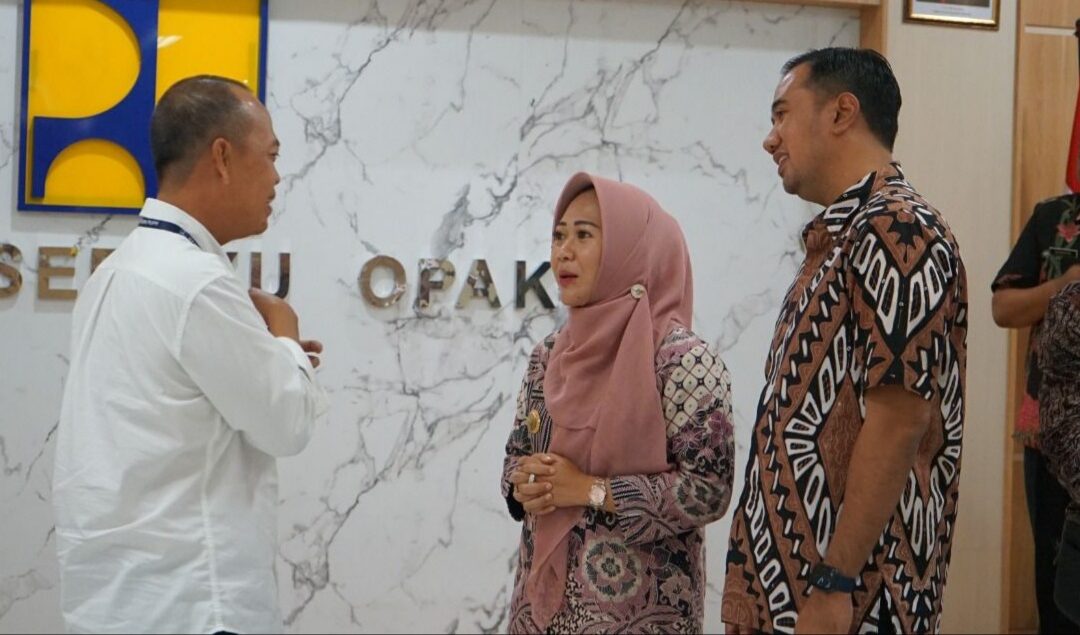 Audiensi BBWS Serayu Opak, Bupati Tiwi Usulkan Penanganan Tebing Longsor