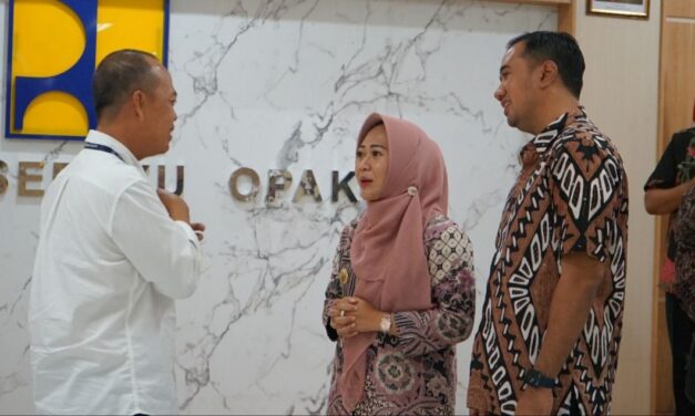 Audiensi BBWS Serayu Opak, Bupati Tiwi Usulkan Penanganan Tebing Longsor
