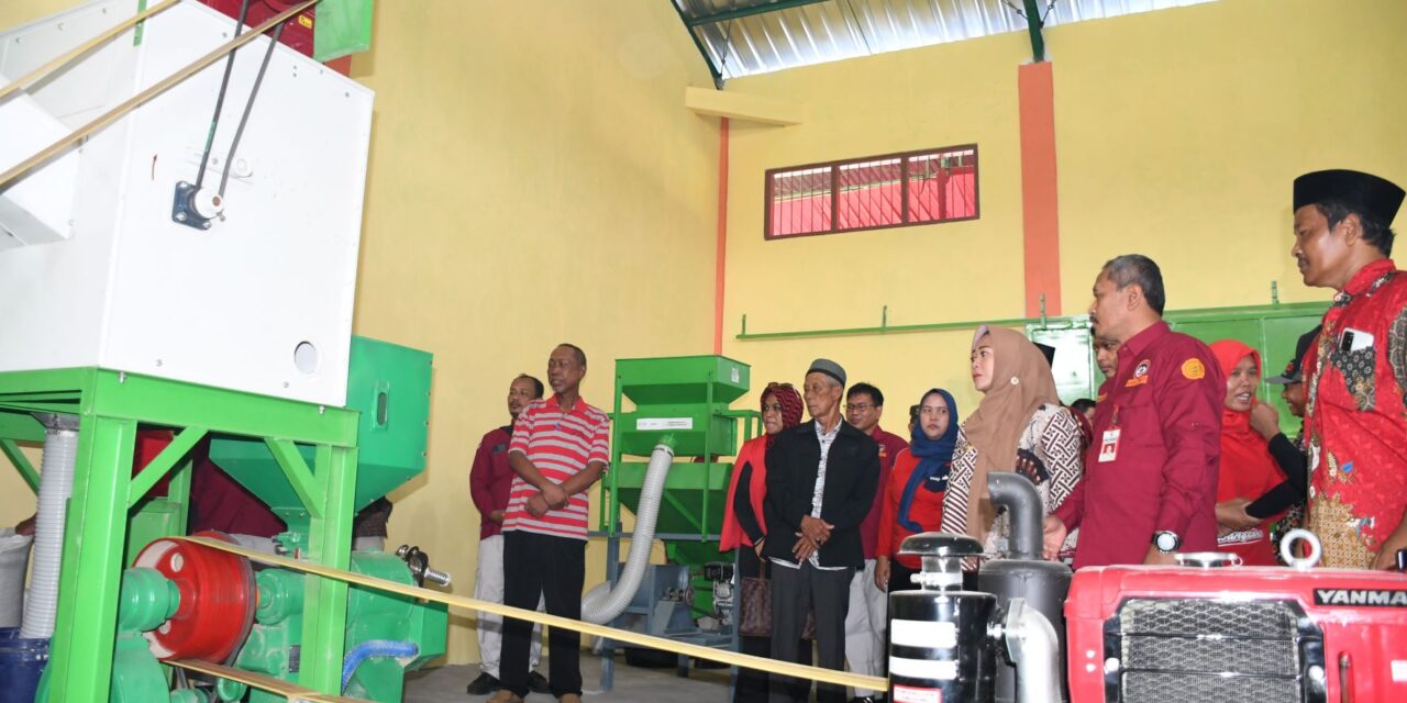 Bupati Tiwi Dorong Lumbung Pangan Masyarakat Jadi Produsen Beras Kemasan