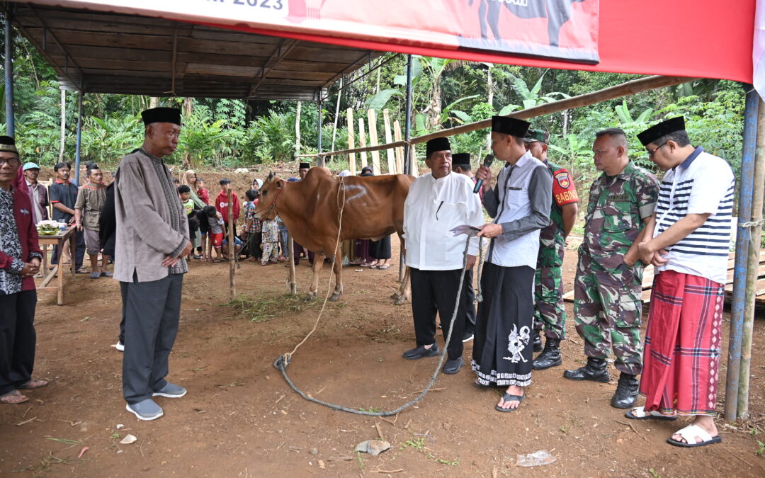 Tingkatan Gizi Masyarakat, Plh Bupati Bantu Sapi Potong