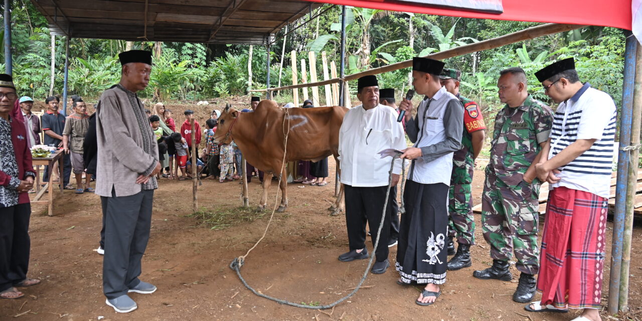 Tingkatan Gizi Masyarakat, Plh Bupati Bantu Sapi Potong