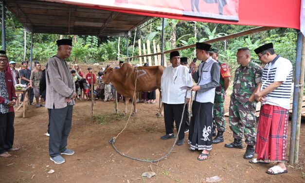 Tingkatan Gizi Masyarakat, Plh Bupati Bantu Sapi Potong