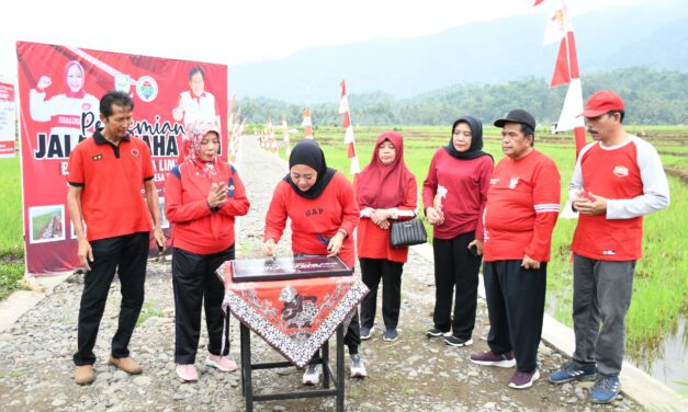 Perlancar Distribusi Hasil Pertanian, Bupati Tiwi Resmikan Jalan Usaha Tani