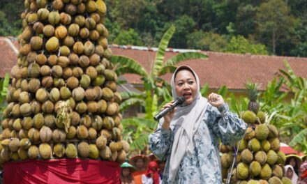 Festival Durian Bumi Soedirman, Angkat Potensi Pertanian dan Pariwisata