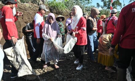 Bupati Tiwi Turut Gotong Royong Bangun Jalan Baru Perkebunan Nanas di Siwarak