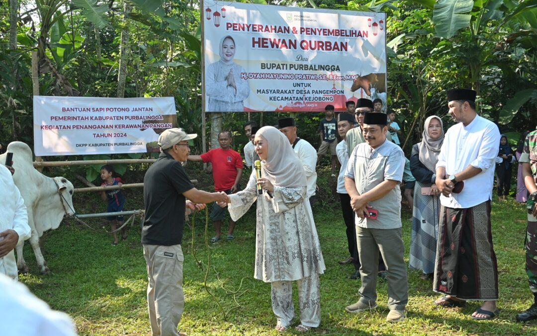 Idul Adha 2024, Bupati Tiwi – Wabup Sudono Serahkan Bantuan Sapi Potong