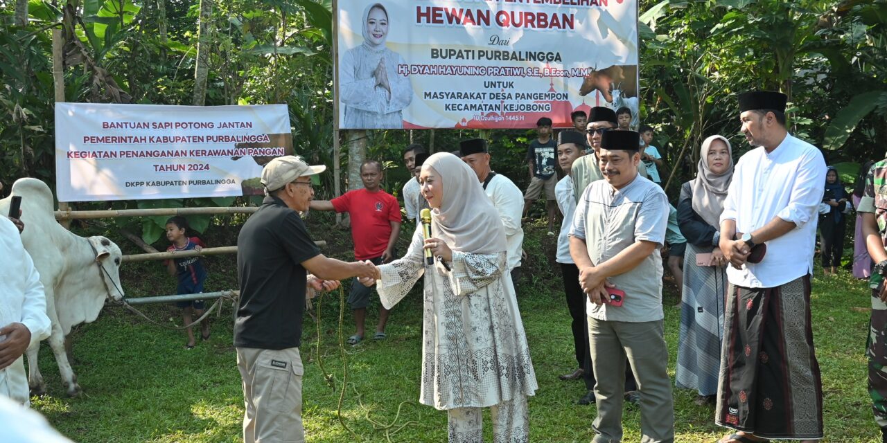 Idul Adha 2024, Bupati Tiwi – Wabup Sudono Serahkan Bantuan Sapi Potong