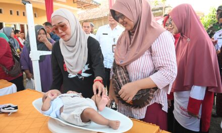 Sukses Menihilkan Kasus Stunting dan AKI/AKB, Bupati Tiwi Siap Hadiahkan  Mobil Ambulans Untuk Desa Makam