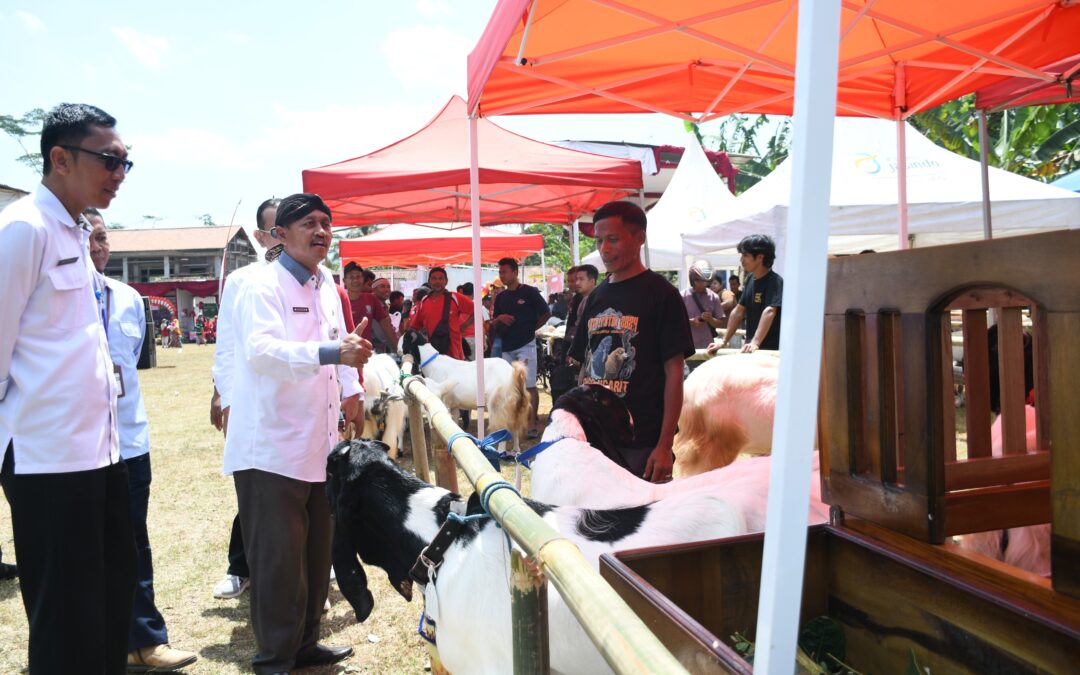 Bantu Ketahanan Pangan Sekaligus Tekan Kemiskinan dan Stunting, Program Upland Harus Dijaga Keberlanjutannya