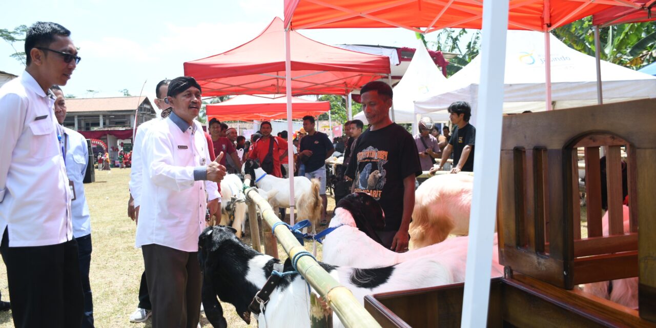 Bantu Ketahanan Pangan Sekaligus Tekan Kemiskinan dan Stunting, Program Upland Harus Dijaga Keberlanjutannya