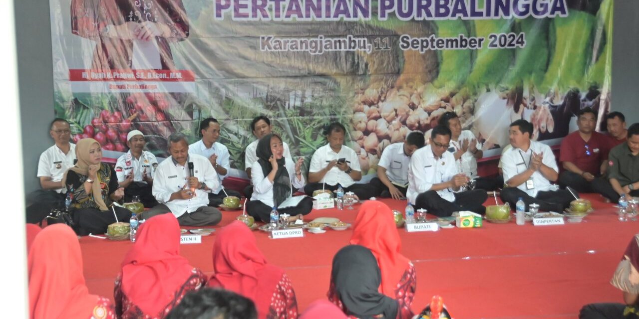 Minat Jadi Penderes di Desa Purbasari Tinggi, Bupati Tiwi Siap Fasilitasi Bibit Kelapa Genjah Entog