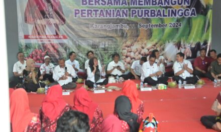 Minat Jadi Penderes di Desa Purbasari Tinggi, Bupati Tiwi Siap Fasilitasi Bibit Kelapa Genjah Entog