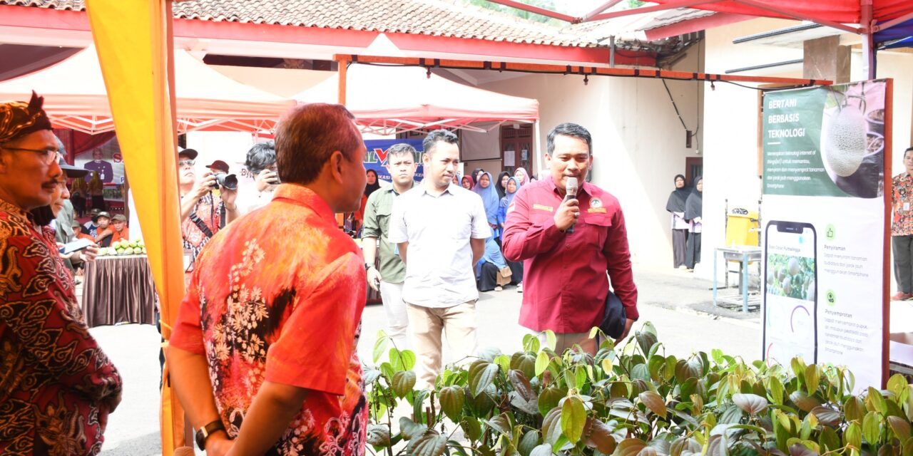 Petani Kejobong Dikenalkan Pertanian Berbasis Teknologi Irigasi Tetes dengan IoT