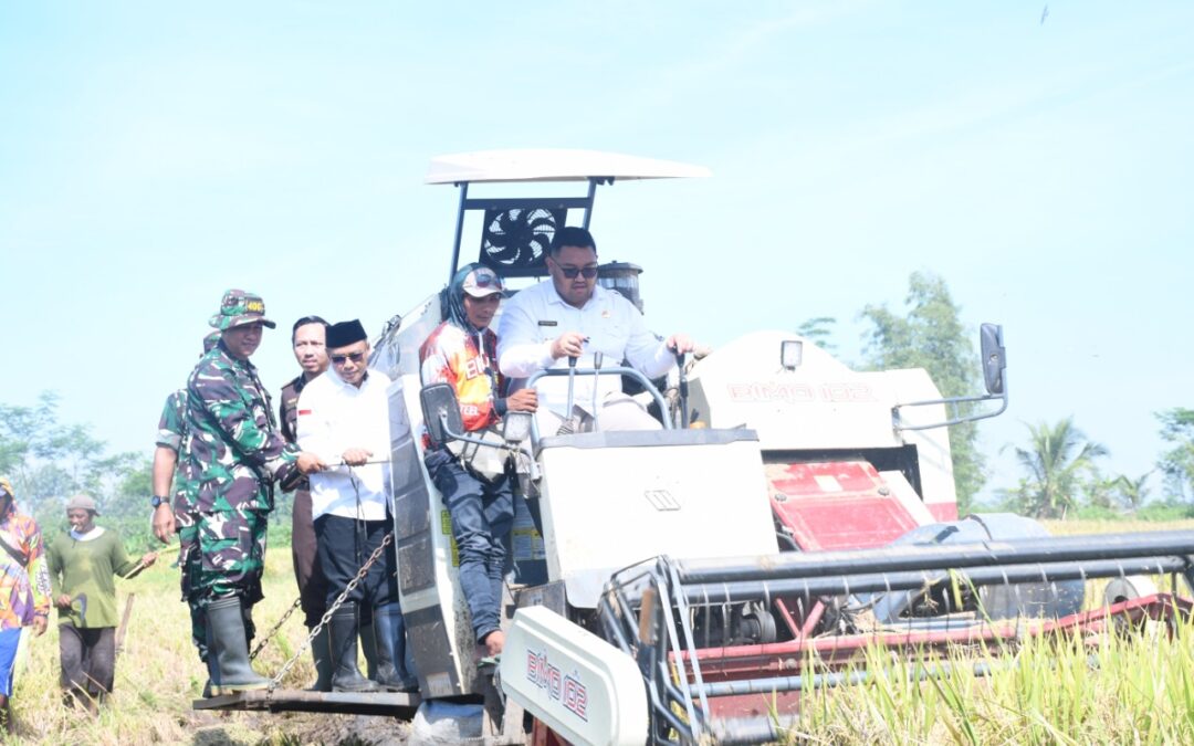 Dorong Swasembada Pangan, Panen Raya di Gambarsari Dikawal Forkopimda dan Bulog