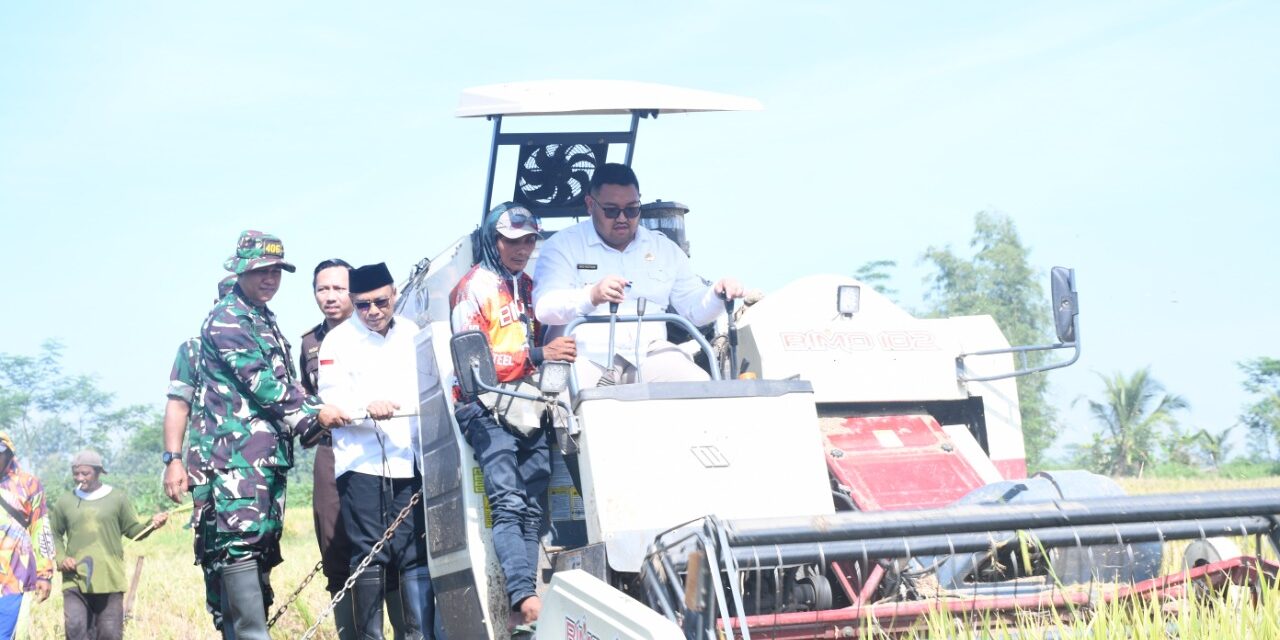 Dorong Swasembada Pangan, Panen Raya di Gambarsari Dikawal Forkopimda dan Bulog