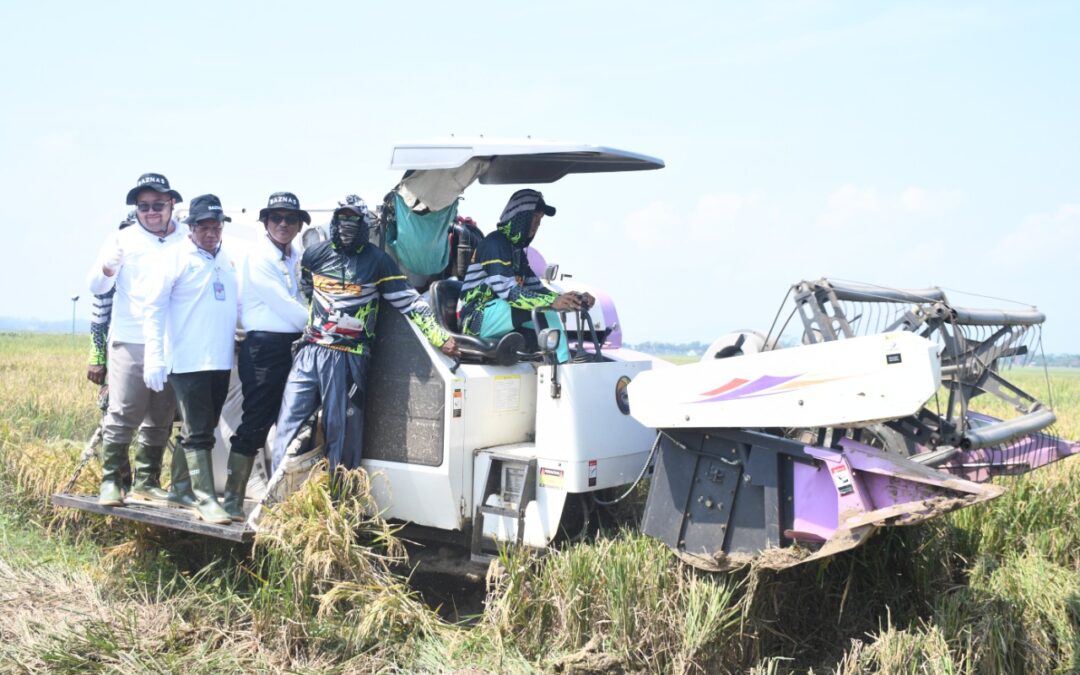 Panen Raya Bersama Baznas, Wabup Dimas Pastikan Petani Tak Lagi Kesulitan Akses Pupuk Bersubsidi