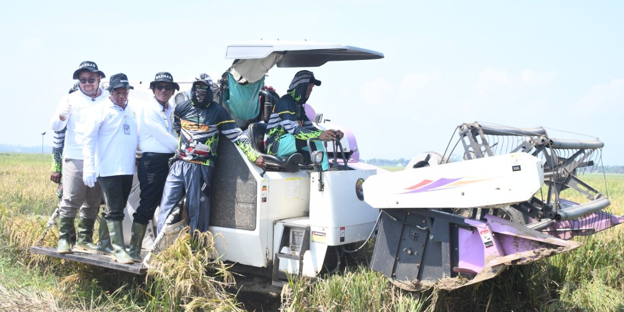 Panen Raya Bersama Baznas, Wabup Dimas Pastikan Petani Tak Lagi Kesulitan Akses Pupuk Bersubsidi