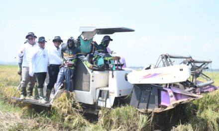 Panen Raya Bersama Baznas, Wabup Dimas Pastikan Petani Tak Lagi Kesulitan Akses Pupuk Bersubsidi