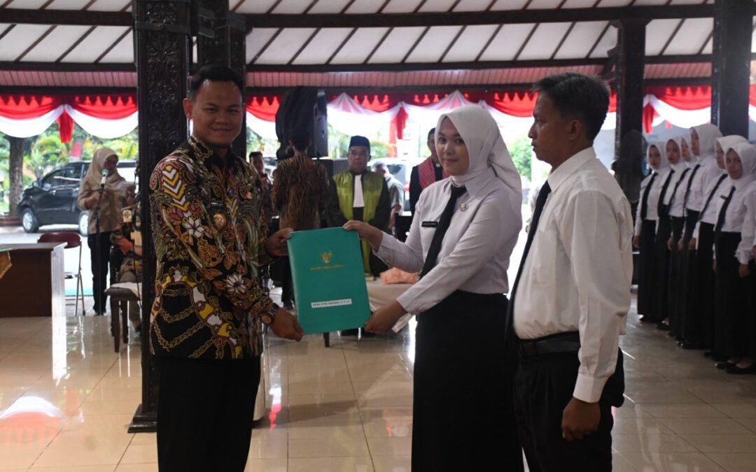 PPPK Harus Buktikan Diri Lebih Profesional dari Saat Masih Honorer