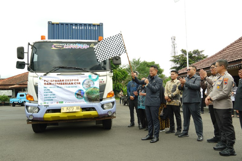 Jadi Incaran Dunia, Ekspor Gula Kelapa Organik Purbalingga Tembus Pasar Amerika dan Eropa