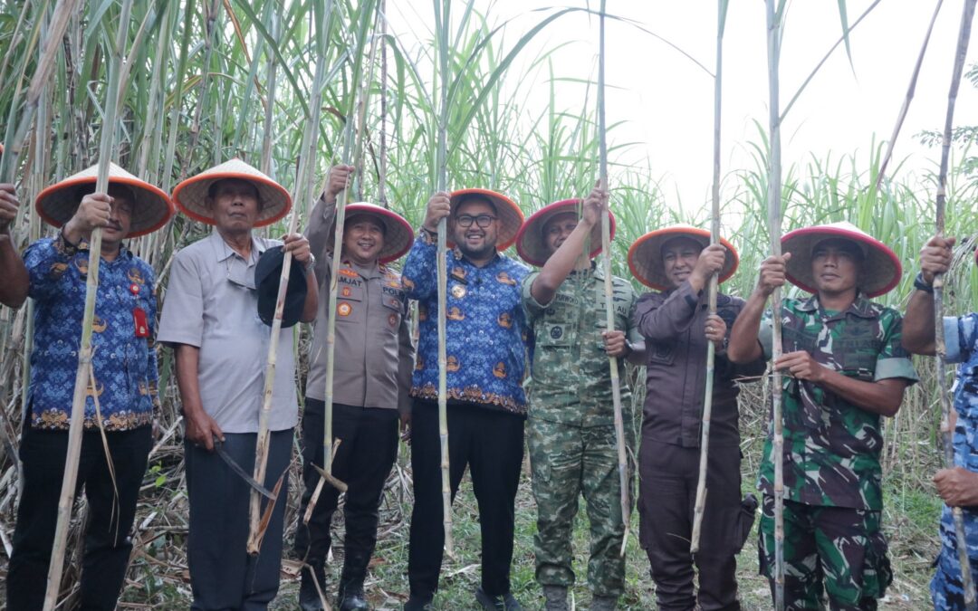 Panen Raya Tebu TNI di Purbalingga, Perkuat Swasembada Gula Nasional