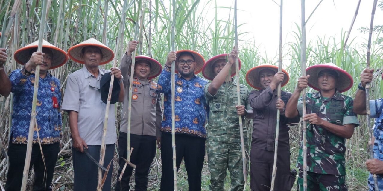 Panen Raya Tebu TNI di Purbalingga, Perkuat Swasembada Gula Nasional